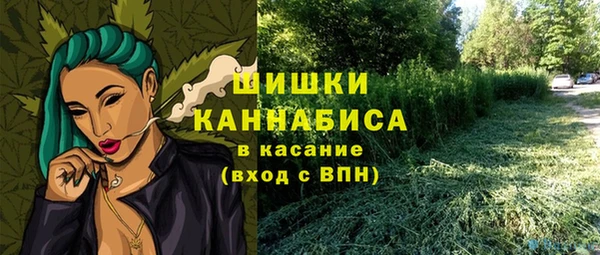 MESCALINE Аркадак