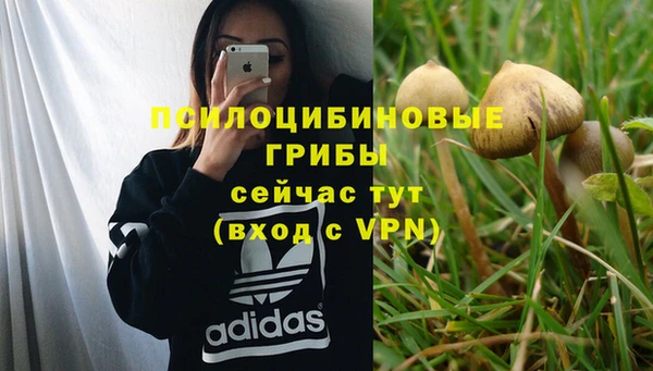 прущие крисы Ладушкин