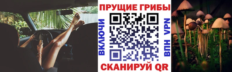 хочу   kraken как войти  Галлюциногенные грибы мицелий  Алагир 